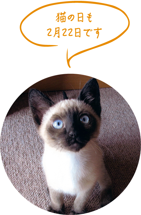 猫の日も2月22日です